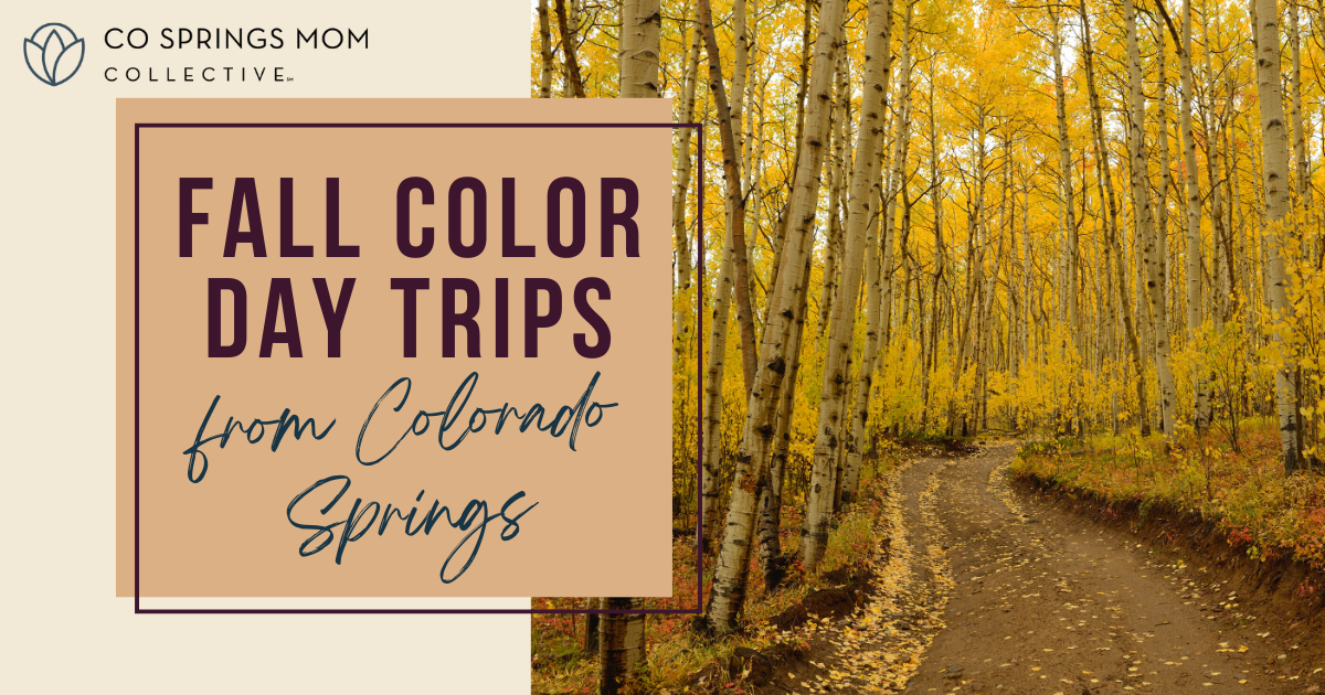 Fall Color Day Trips Guide Header