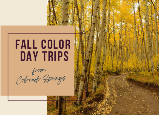Fall Color Day Trips from Colorado Springs