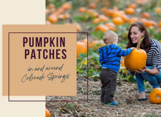 Pumpkin patches in Colorado Springs