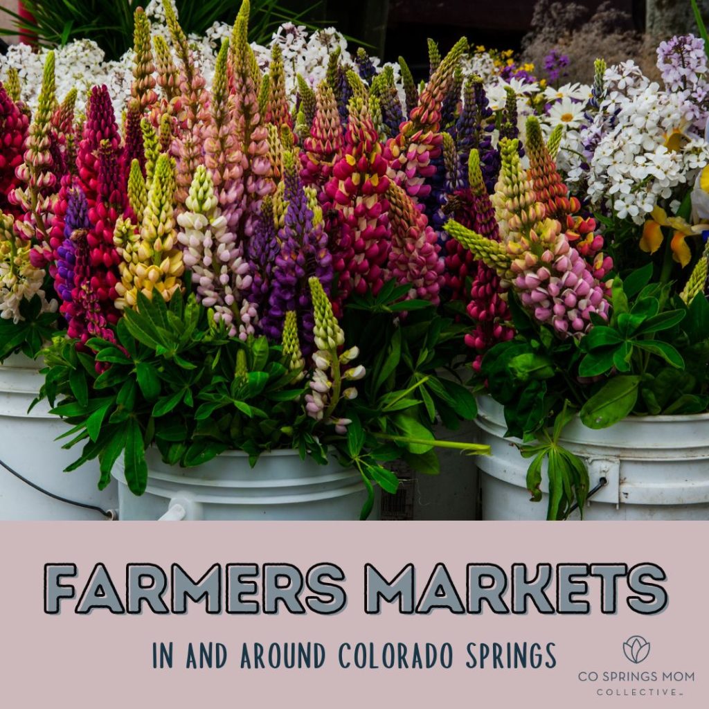 Guide to Farmers Markets