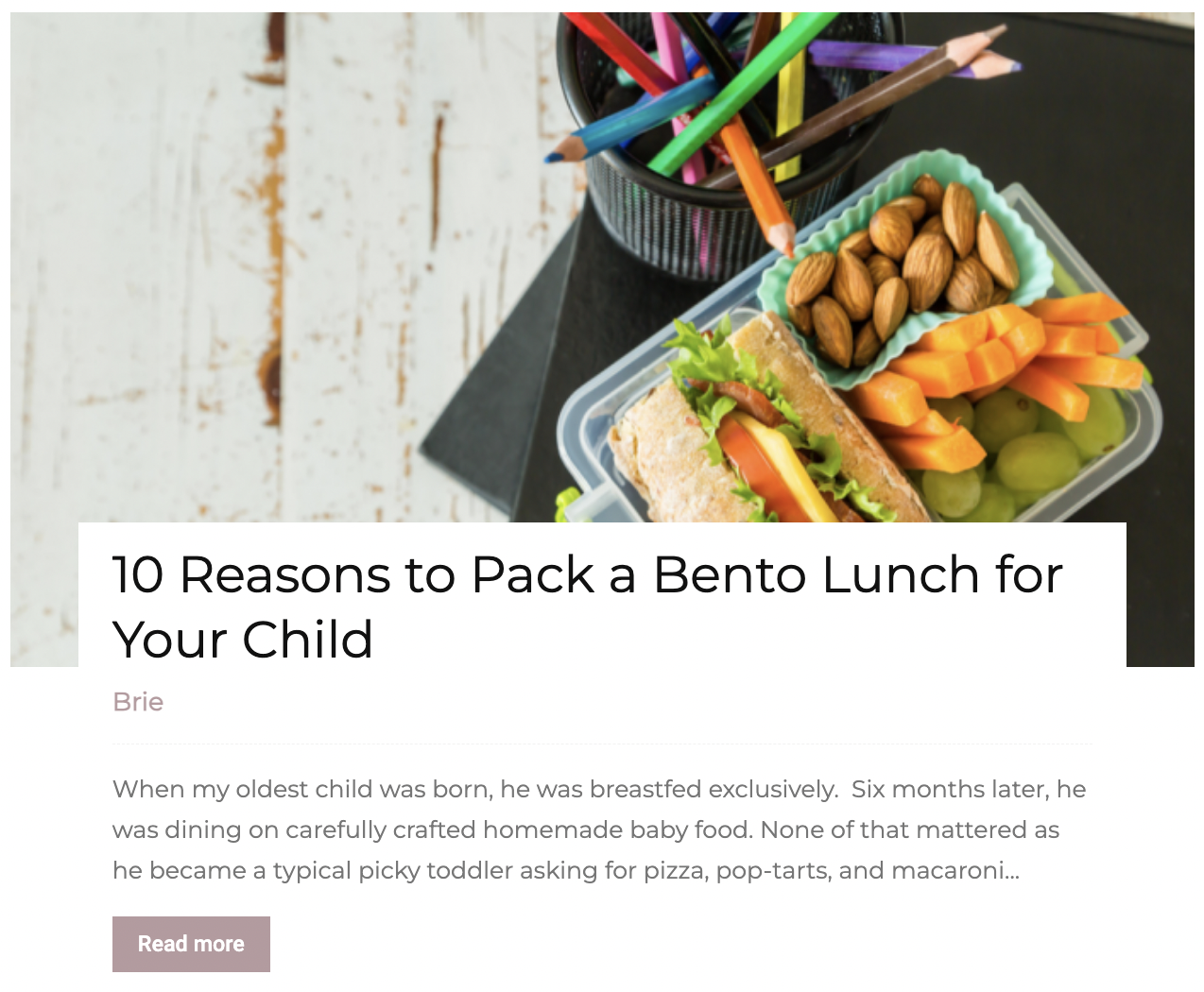 Bento Lunch Article