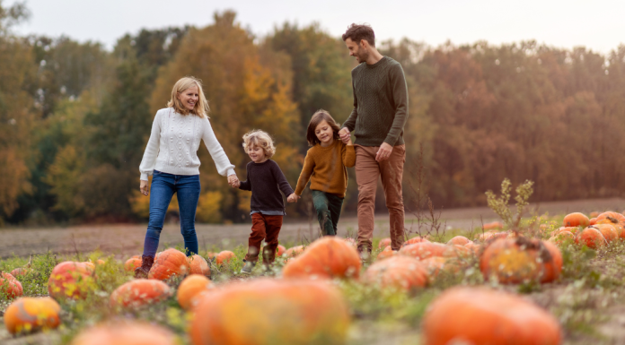 A family holding hands and walking through a pumpkin patch together