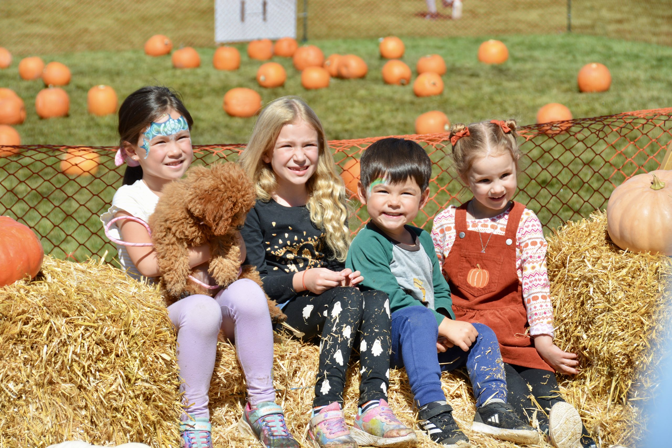 Kids at the Pumpkin Patch at the Wolf Ranch Fall Festival